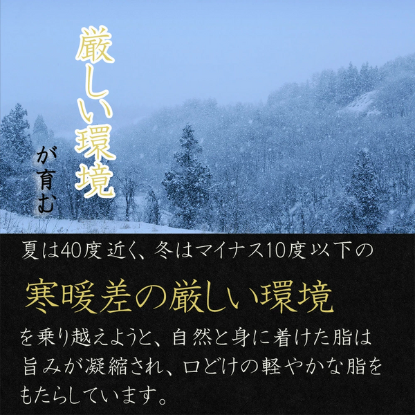 【冷凍】雪降り和牛尾花沢お祝い重すき焼き用